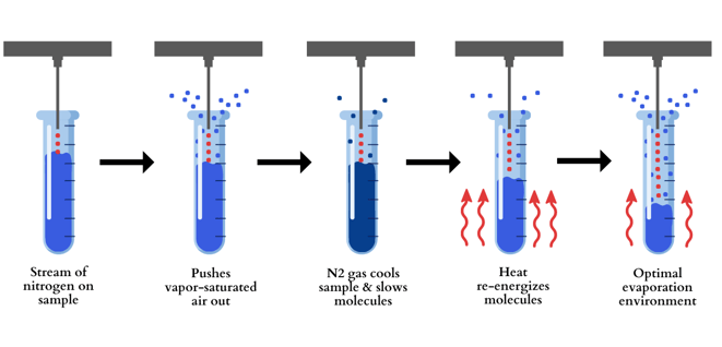 Nitrogen Evaporation Graphic