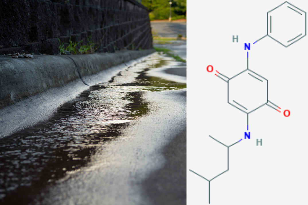 an image of a skinny puddle trickling down a paved road. this is overlaid with the chemical structure for 6ppd quinone