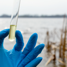 Hand with glove holding sample test tube with solvent 