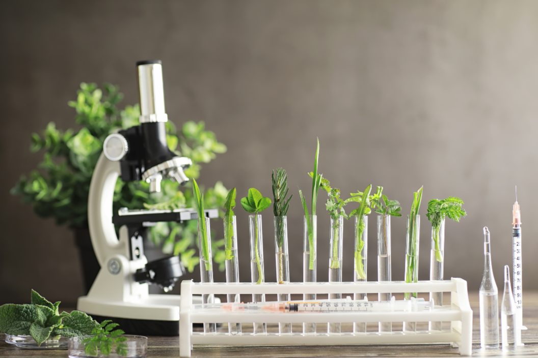 a microscope behind a rack full of test tubes that contain plant matter 