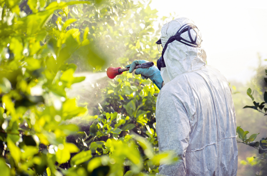 Person in white hazmat suit spraying pesticides on crops
